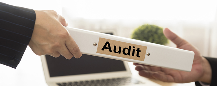 auditor-training-online-what-is-an-audit