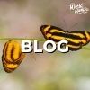 Adapting to Change and Making the Most of the Opportunities
