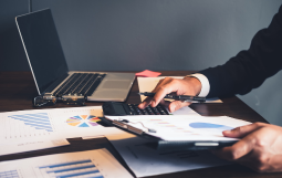 Audit Procedures