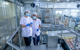 Management Systems Auditor + Food Safety Management Systems (ISO 22000)