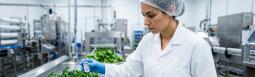Management Systems Auditor + Developing HACCP Plans
